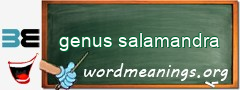 WordMeaning blackboard for genus salamandra